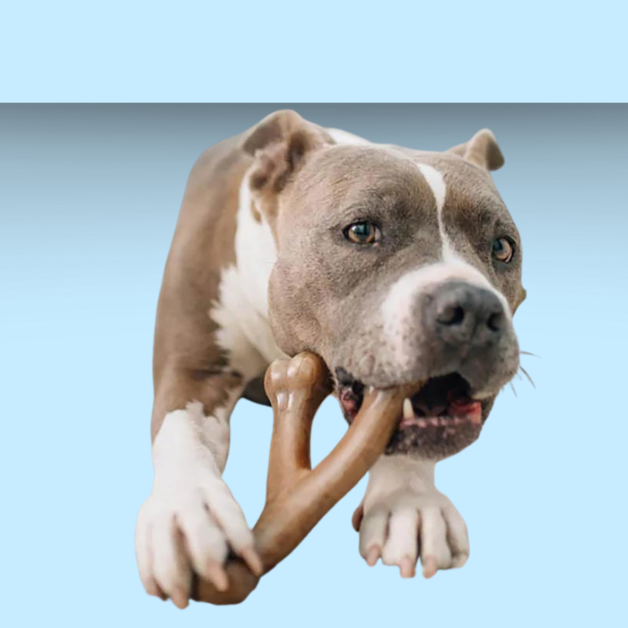 Benebone Wish Bone Bacon L
