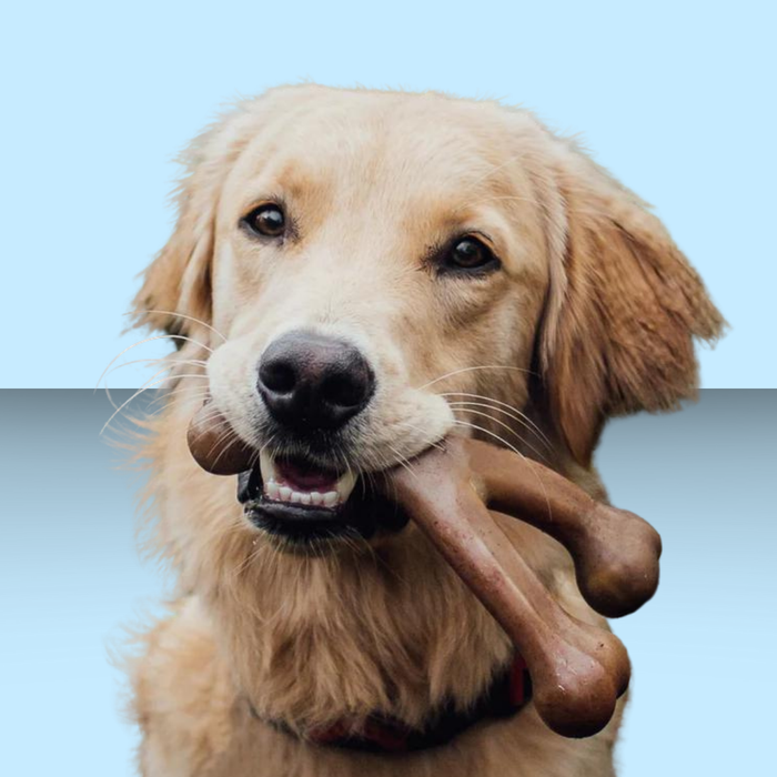 Benebone Wish Bone Bacon L