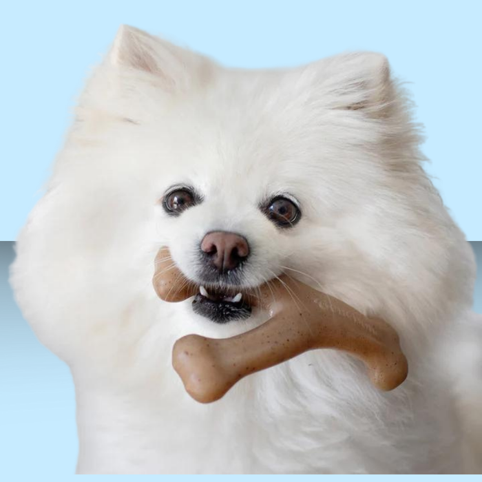 Benebone Wish Bone Bacon S