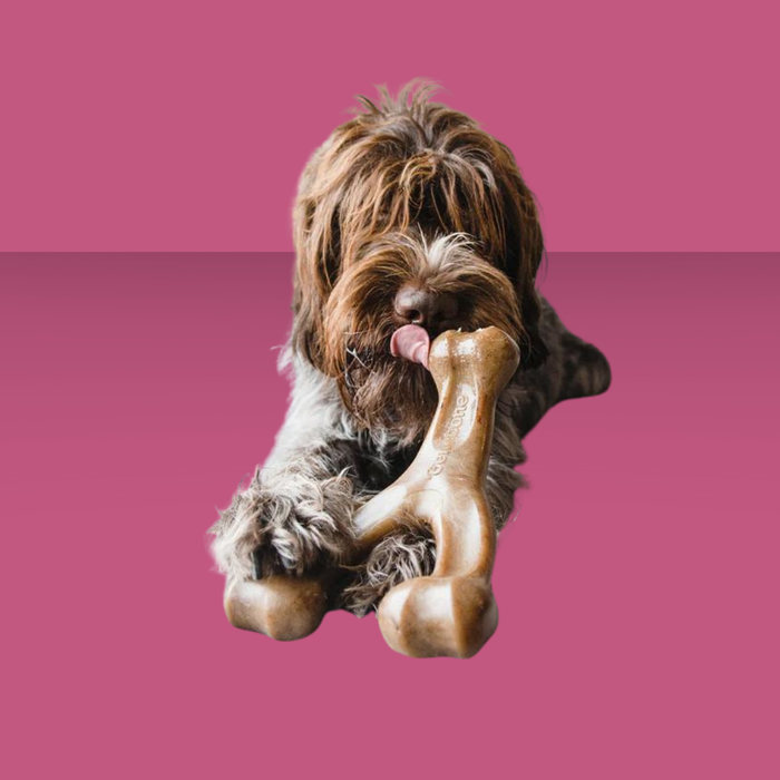 Benebone Wish Bone Peanut Butter Giant