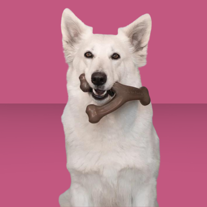 Benebone Wish Bone Peanut Butter L