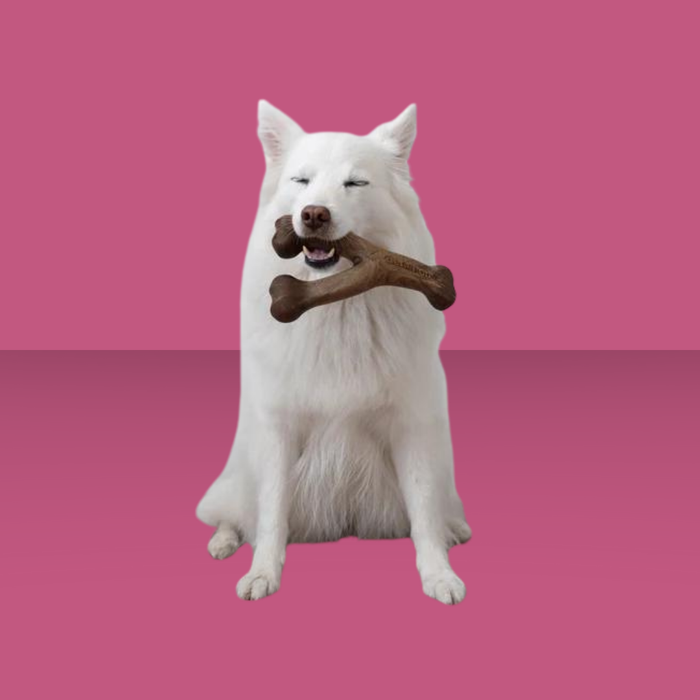 Benebone Wish Bone Peanut Butter L