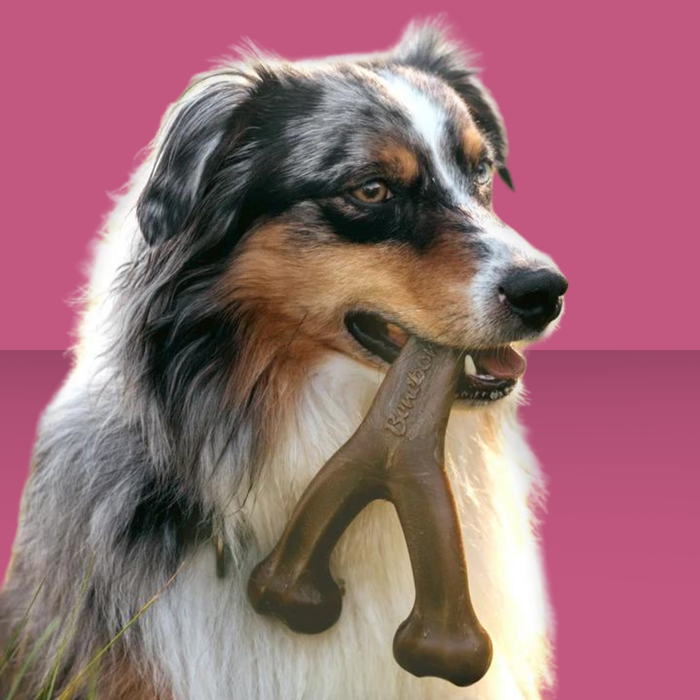 Benebone Wish Bone Peanut Butter M
