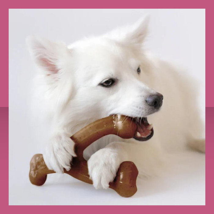 Benebone Wish Bone Peanut Butter M