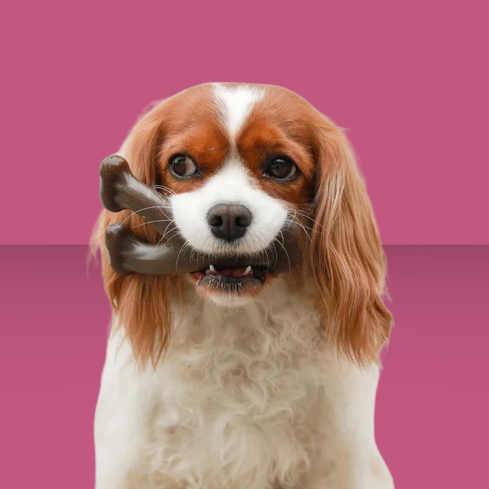 Benebone Wish Bone Peanut Butter S