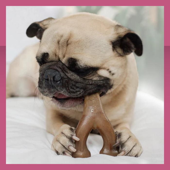 Benebone Wish Bone Peanut Butter S