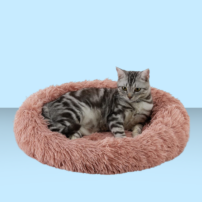 Best Friends by Sheri Calming Cat Donut Bed Dusty Rose