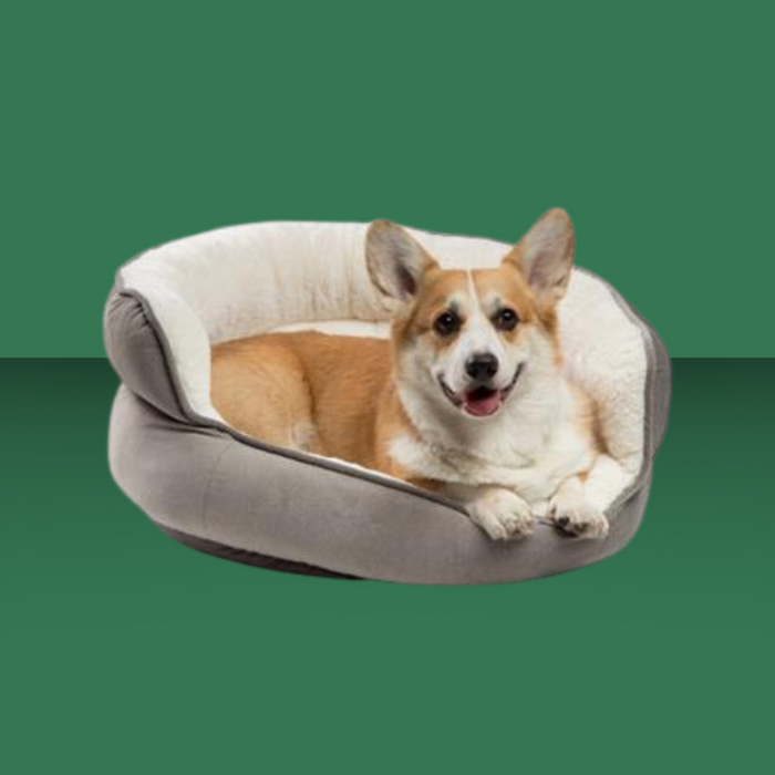 Best Friends by Sheri Ilan Throne Bed Grey