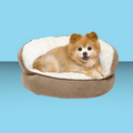 Best Friends by Sheri Ilan Throne Bed Wheat