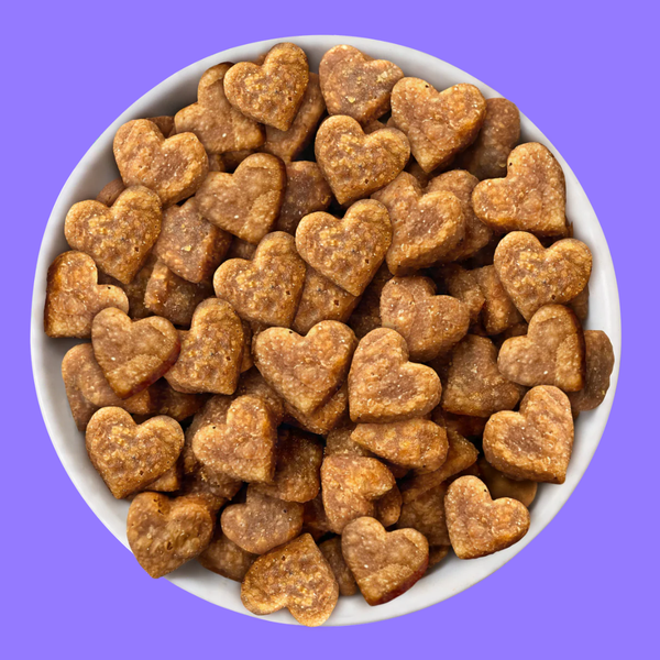 BFF Toodzies Crunchy Treats Salmon 2oz