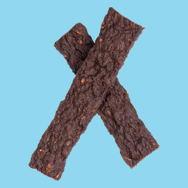 Bixbi Skin & Coat Salmon Jerky 10oz