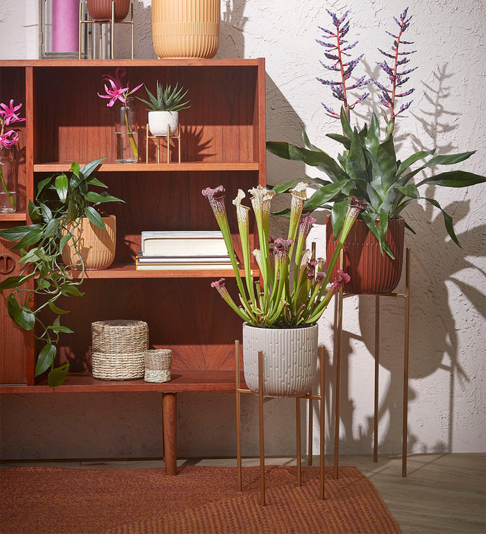 Black Plant Stand