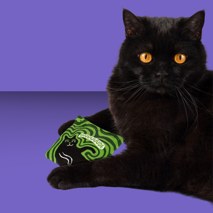 Blue Q Catnip Pillow Dude