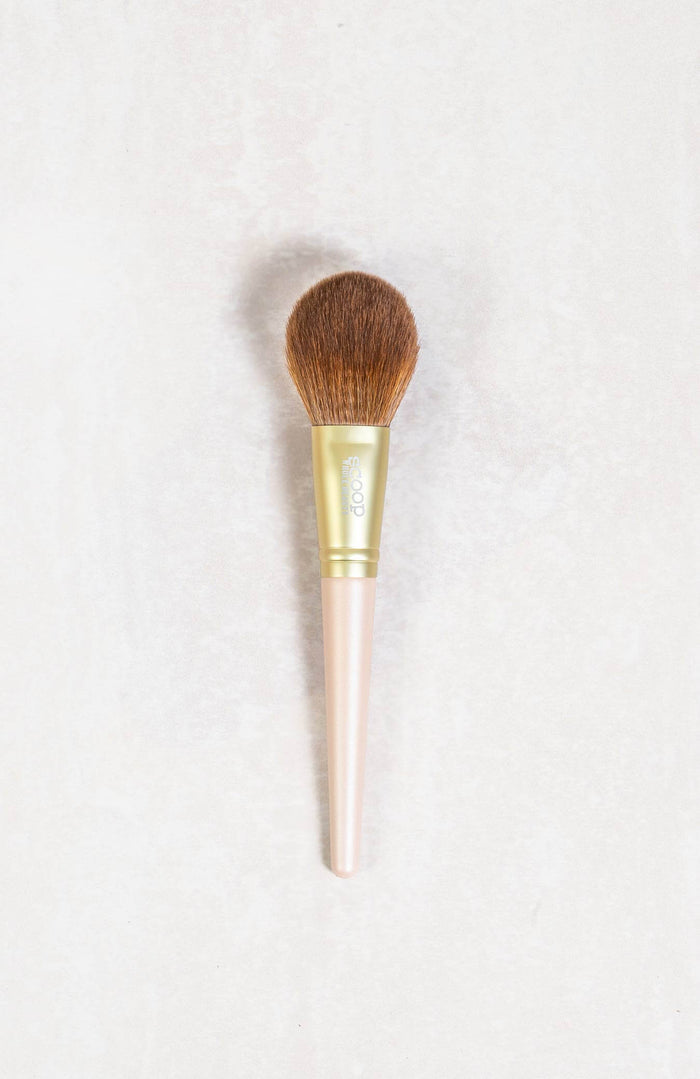 Blush Pair Offer - Scoop Whole Beauty - Blusher and brush pair
