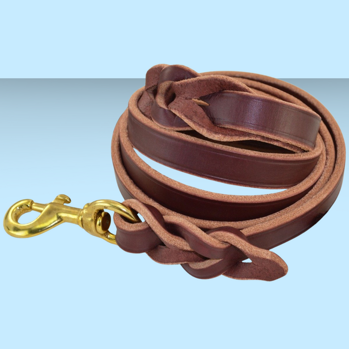 Braided Leather Lead 3/4" width 6'