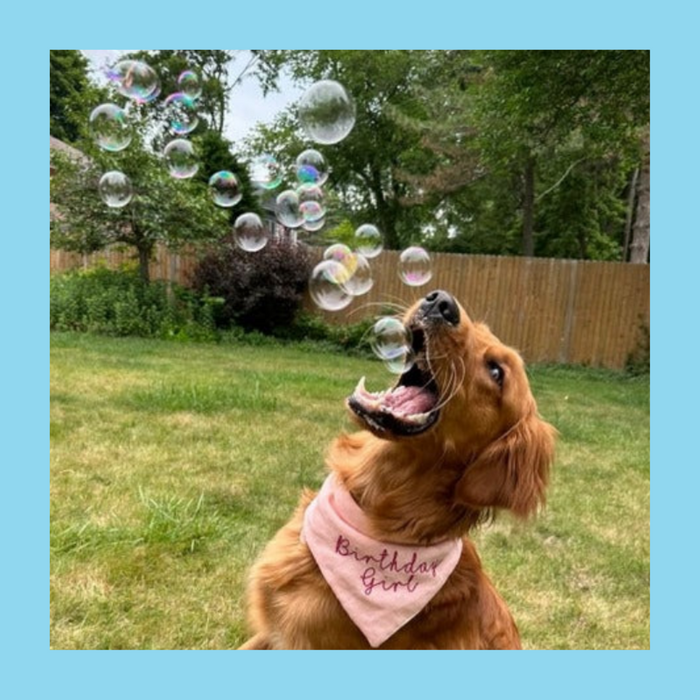 Bubble Lick Bubbles Peanut Butter