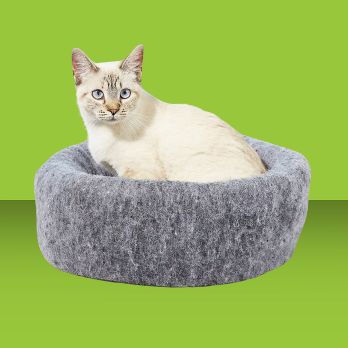 Carolina Pet Company Mysterious Kitty Kup Charcoal