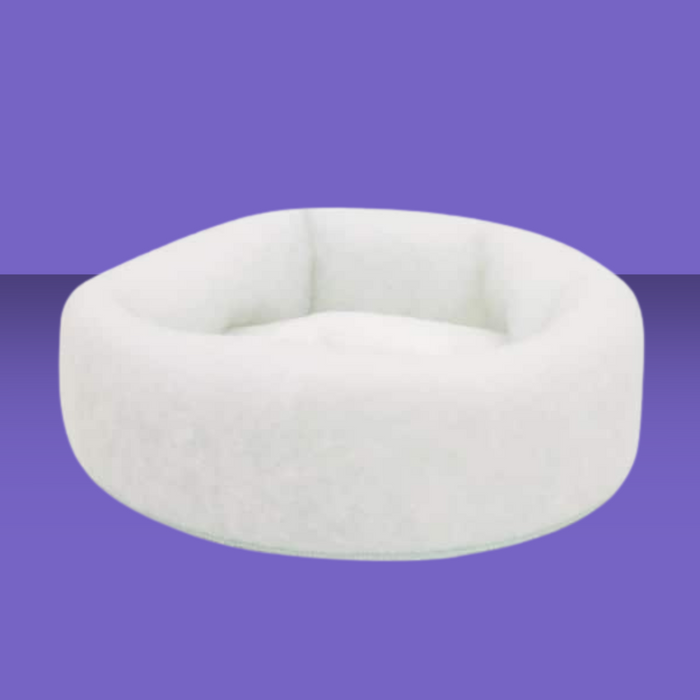 Carolina Pet Company Mysterious Kitty Kup White