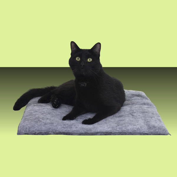 Carolina Pet Company Purr Pad Charcoal