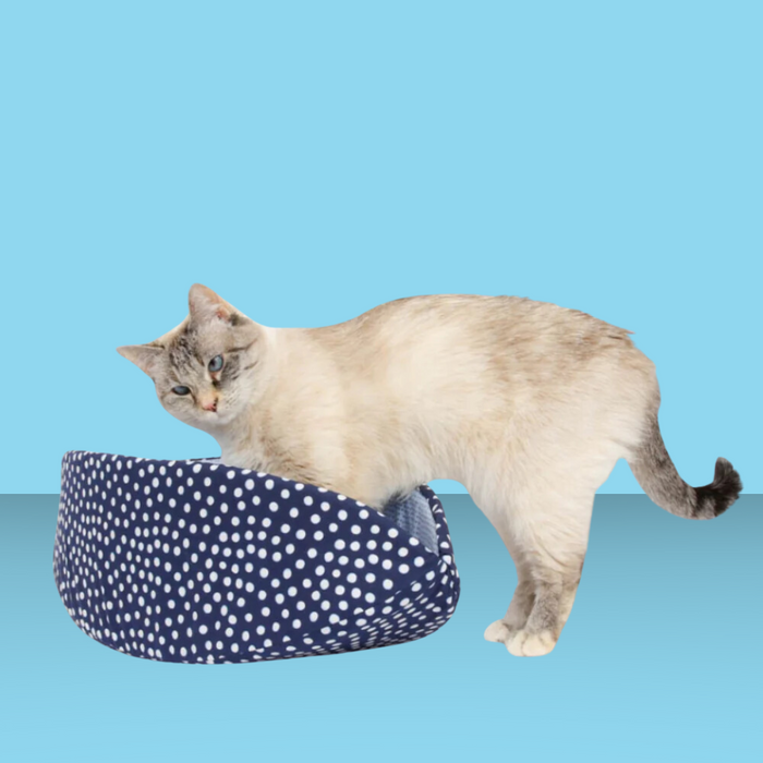 Cat Canoe Indigo Dots