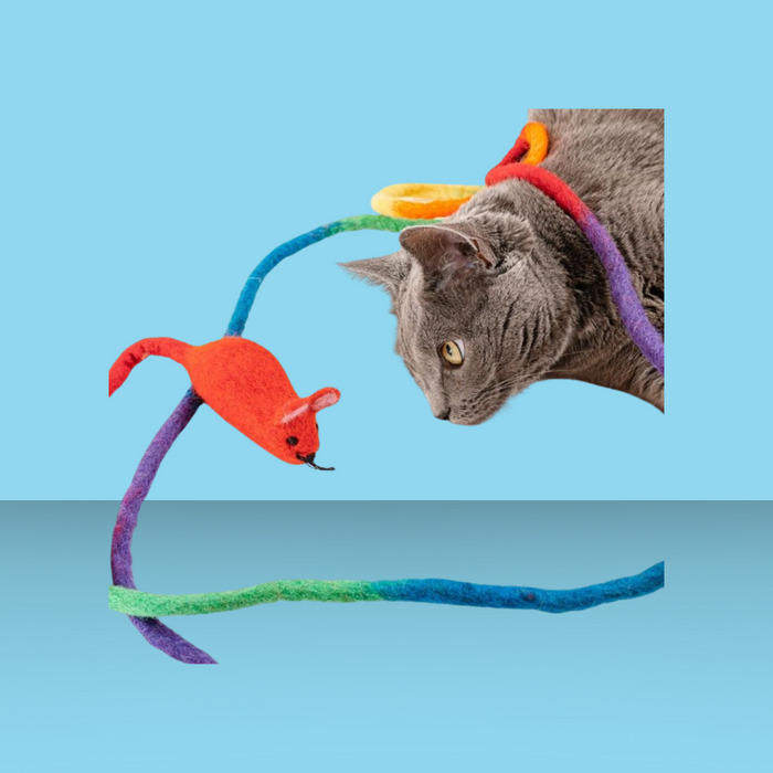 Cat in the Box Wool Mouse with 6' Tail Rainbow