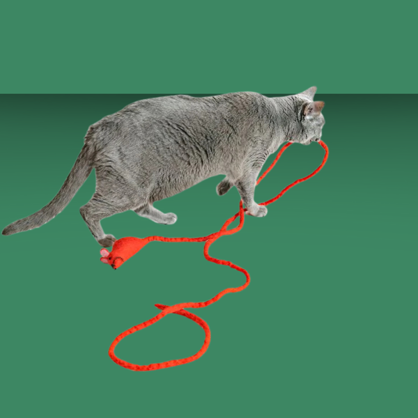 Cat in the Box Wool Mouse with 6' Tail Red