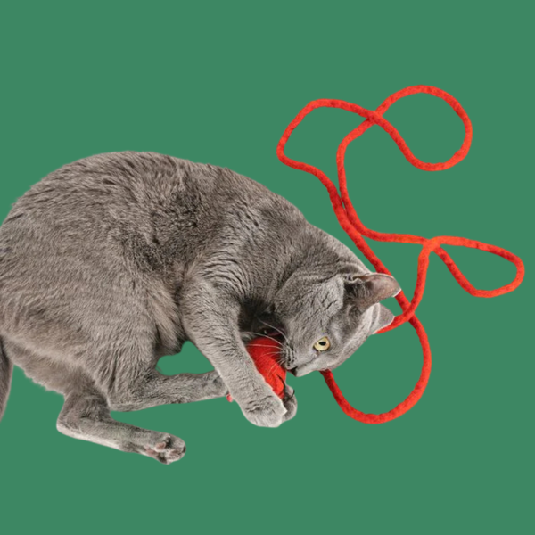 Cat in the Box Wool Mouse with 6' Tail Red