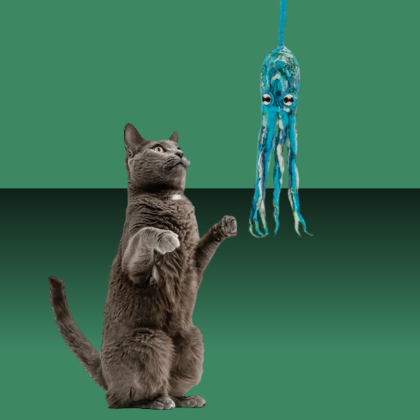 Cat in the Box Wool Octopus with 4' Tail Arctic Blue