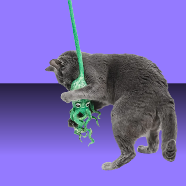 Cat in the Box Wool Octopus with 4' Tail Sea Kelp Green