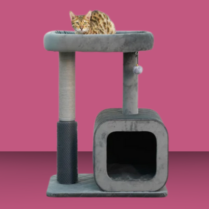 Catry Eclipse 2 Level Modern Cat Tree