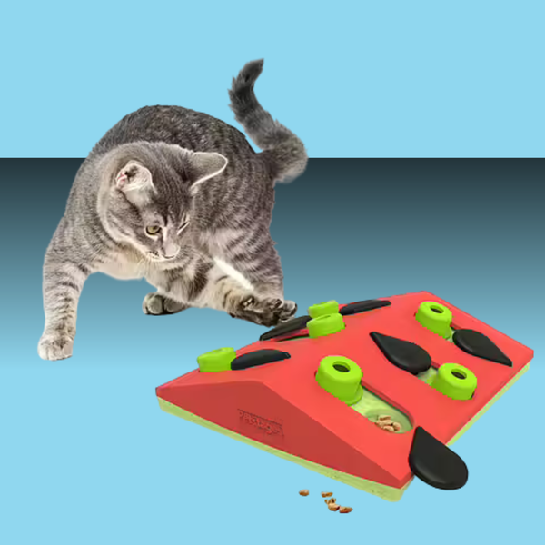 Catstages Cat Melon Madness Puzzle Toy
