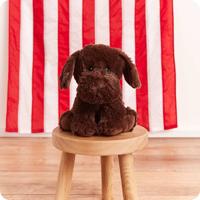 Chocolate Labrador Warmies