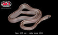 Cinder Tessera 18" male for sale by South Mountain Reptiles