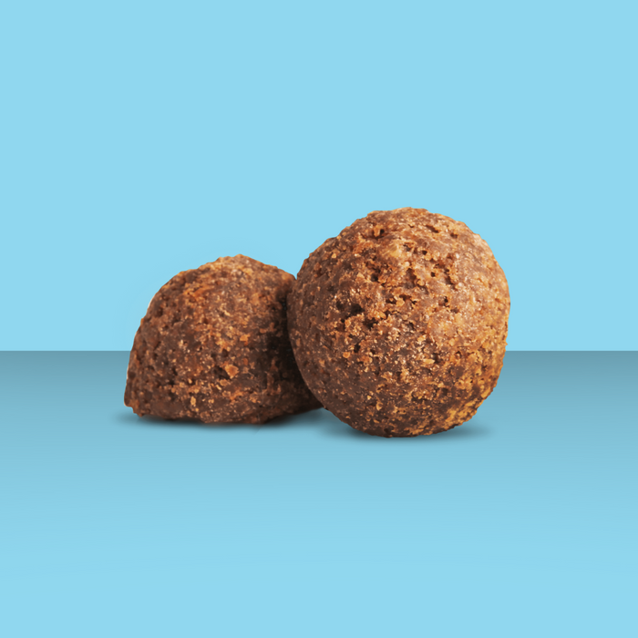 Cloud Star Wag More GF Lamb Meatball 14oz