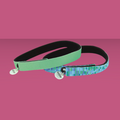 Coastal Pet Flexfit Cat Collar Checkerboard & Seafoam 2 Pack
