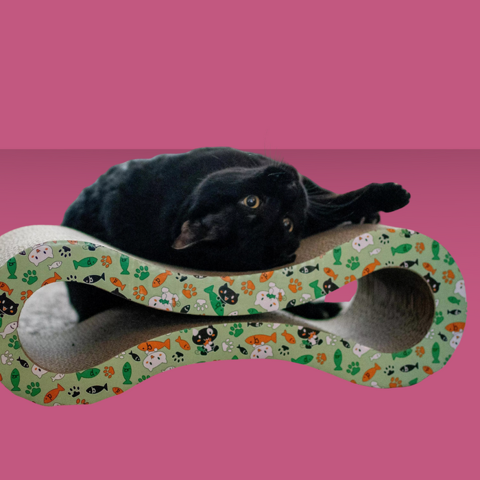 Coastal Pet Scratcher Infinity
