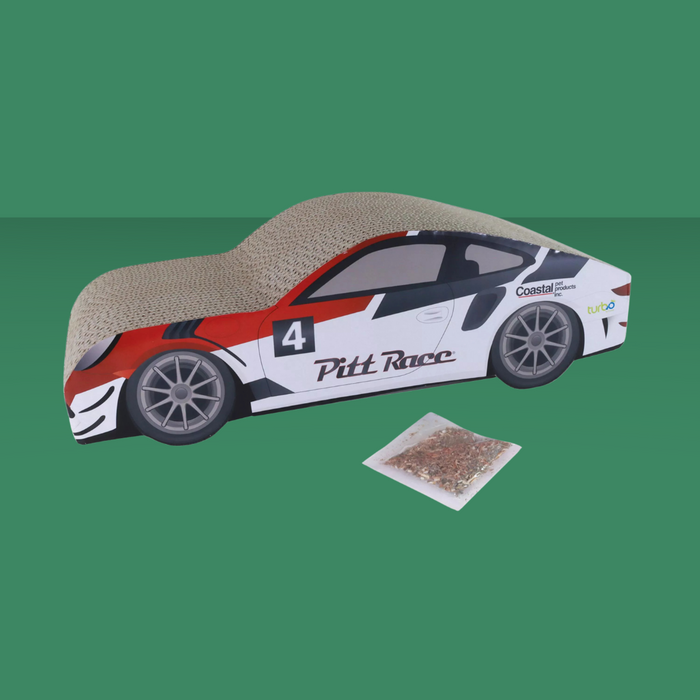 Coastal Pet Scratcher Racecar
