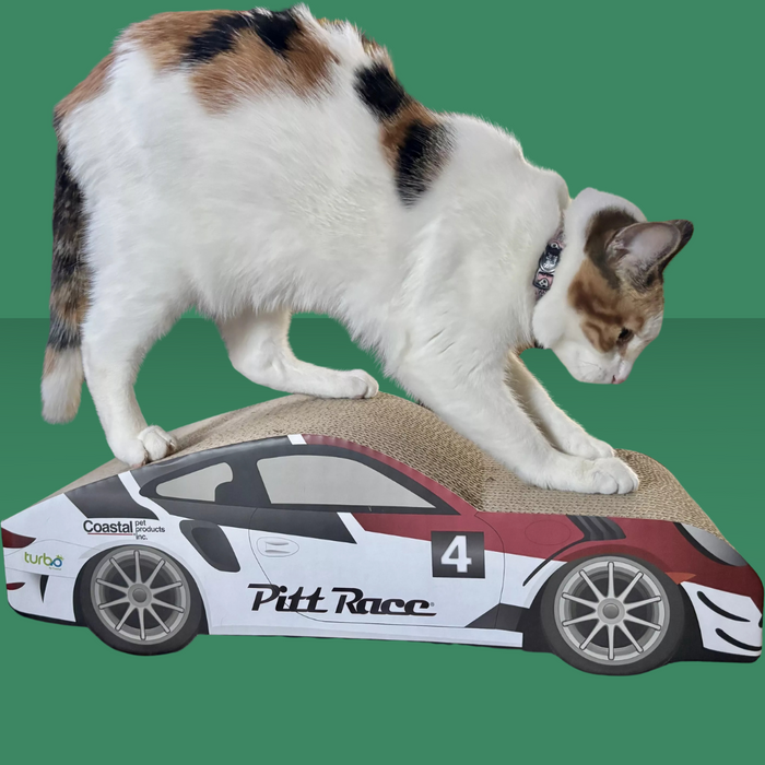 Coastal Pet Scratcher Racecar