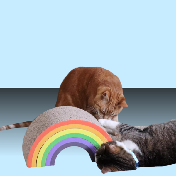 Coastal Pet Scratcher Rainbow