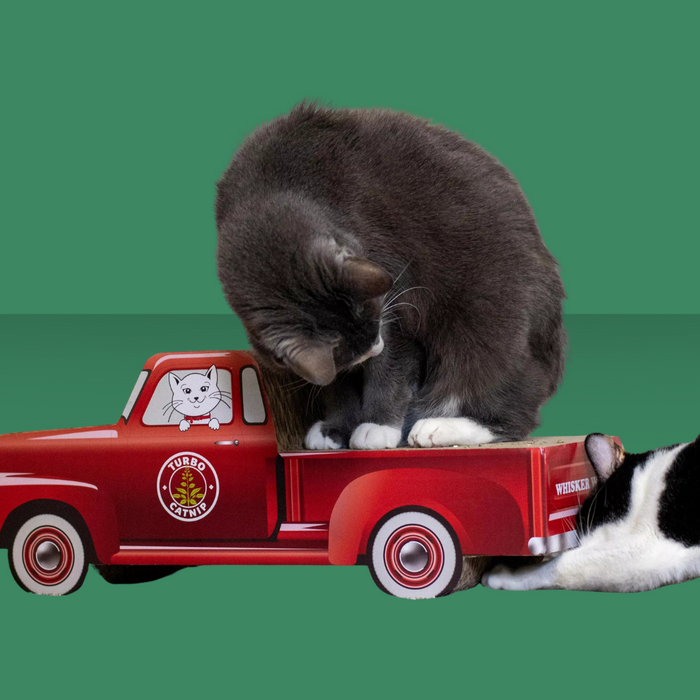 Coastal Pet Scratcher Red Truck