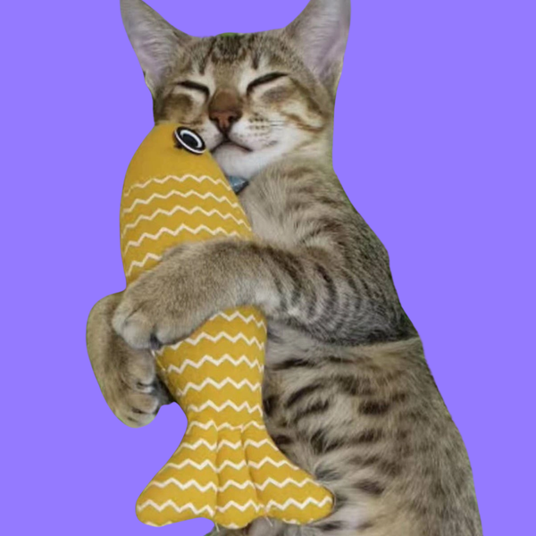 Cobalt Cat Catnip Toy Fish Assorted