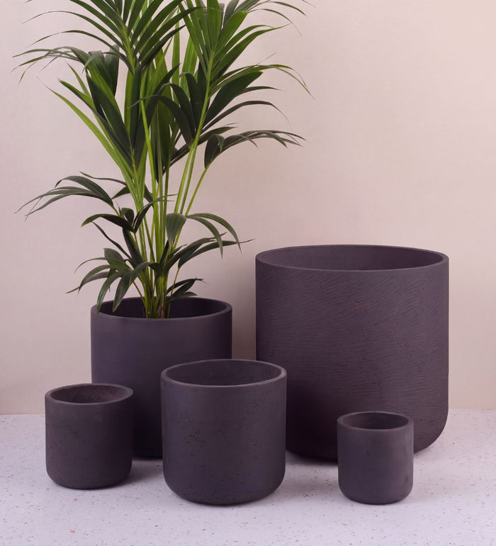 Concrete Pot range in dark grey