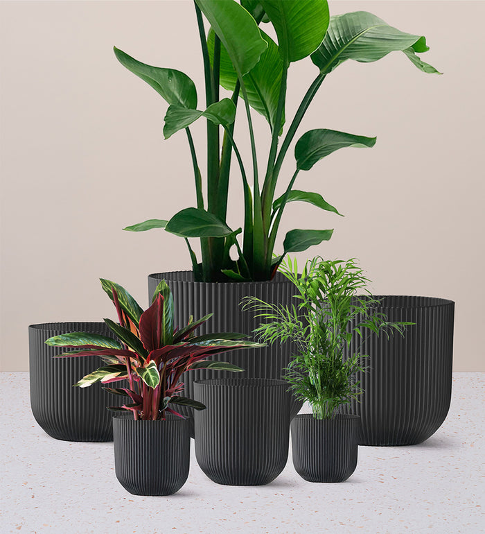 Dark Grey Elho Vibes Pot (22cm)