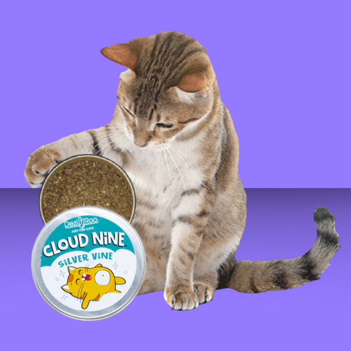 DeziRoo Cloud Nine Silver Vine 30g