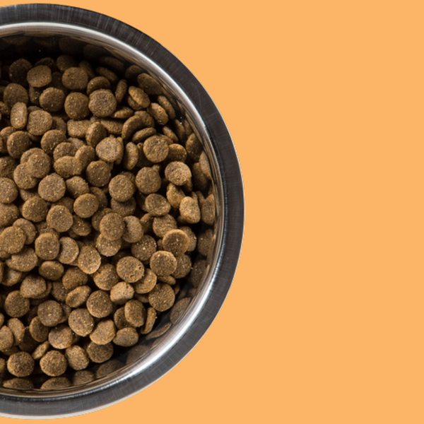 Diamond Naturals Beef & Rice 40#