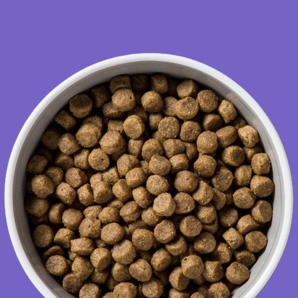 Diamond Naturals Chicken & Rice 40#