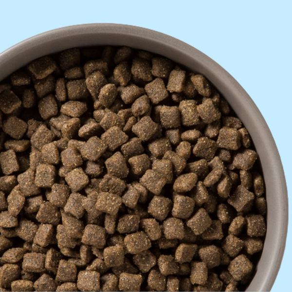 Diamond Naturals Lamb & Rice 20#