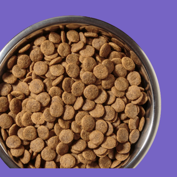 Diamond Naturals Large Breed Adult Chicken & Rice 40#