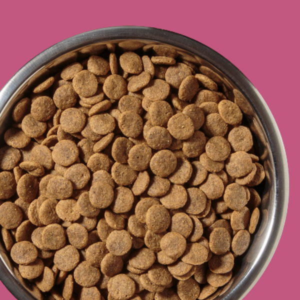 Diamond Naturals Large Breed Adult Lamb & Rice 40#