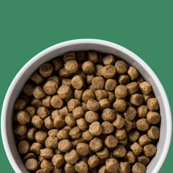 Diamond Naturals Large Breed Puppy Lamb & Rice 20#